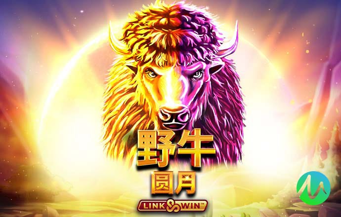 QIFA589:COM-WWW:QIFA589:COM截图4